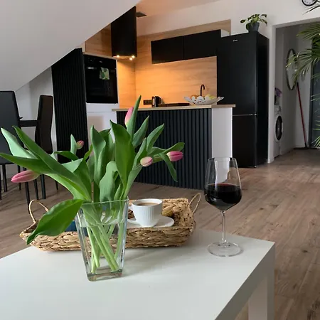 Lejlighed Astor - Sloneczny Szczawno-Zdroj